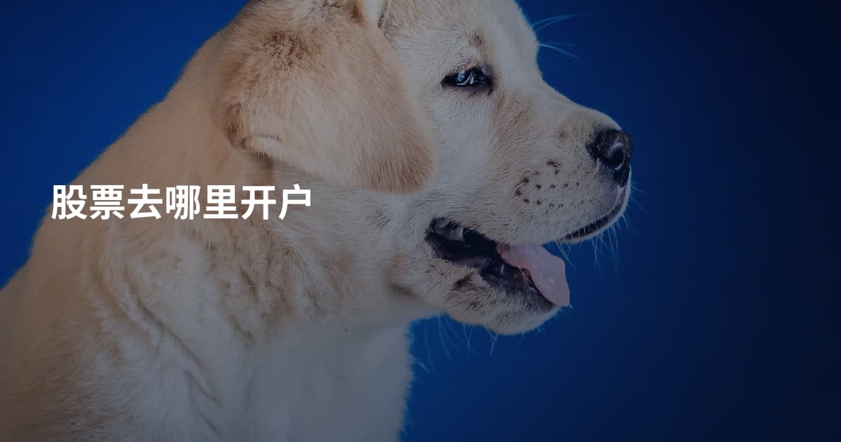 股票去哪里开户