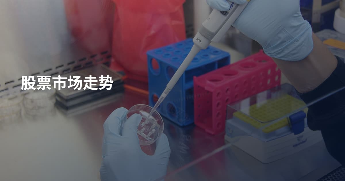 股票市场走势