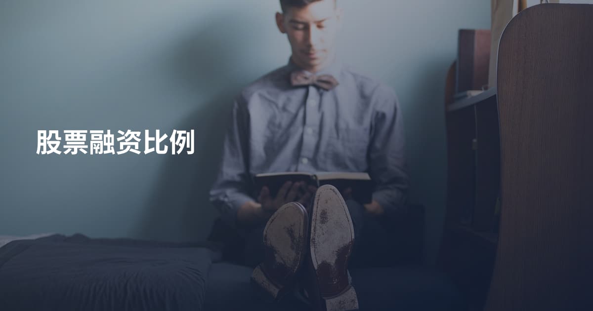 股票融资比例