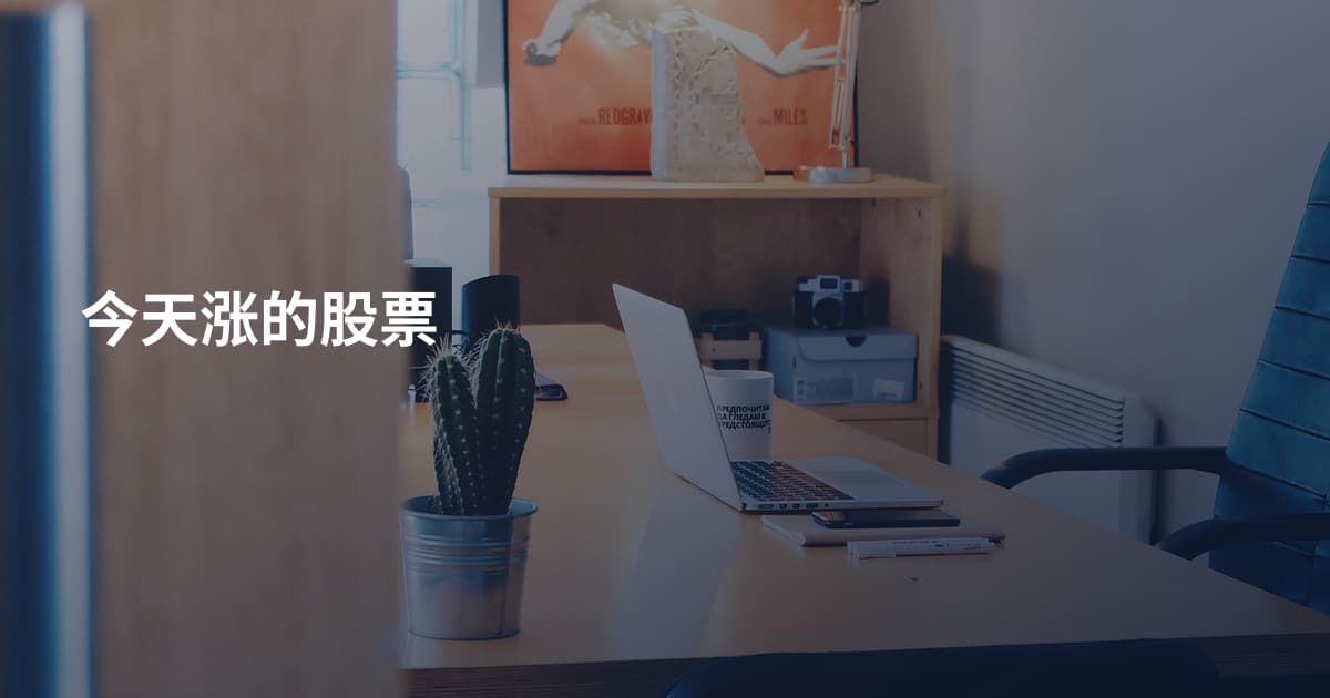 今天涨的股票