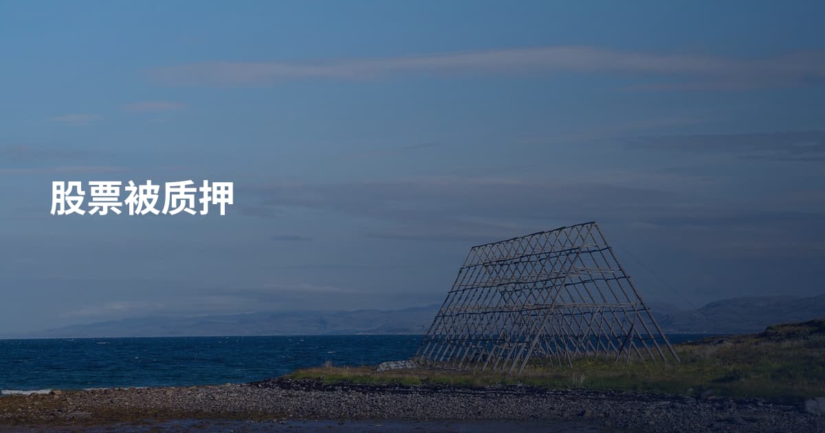 股票被质押