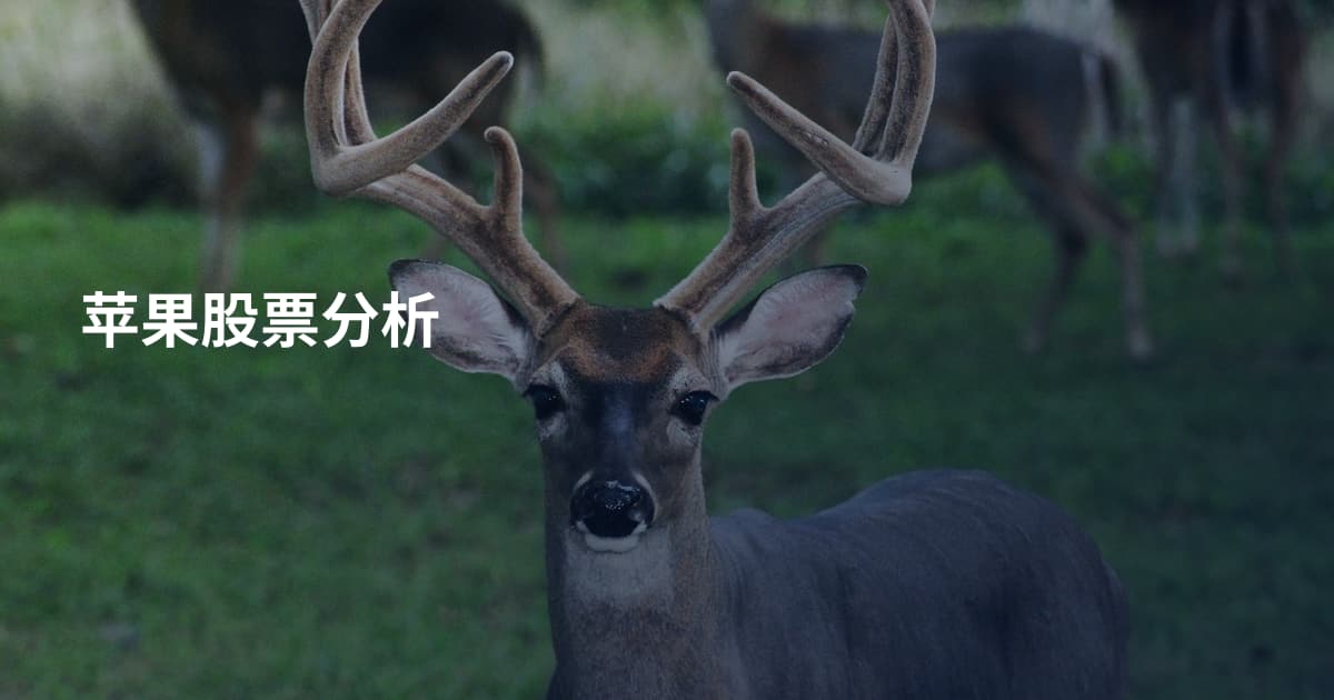 苹果股票分析