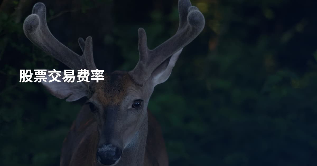 股票交易费率
