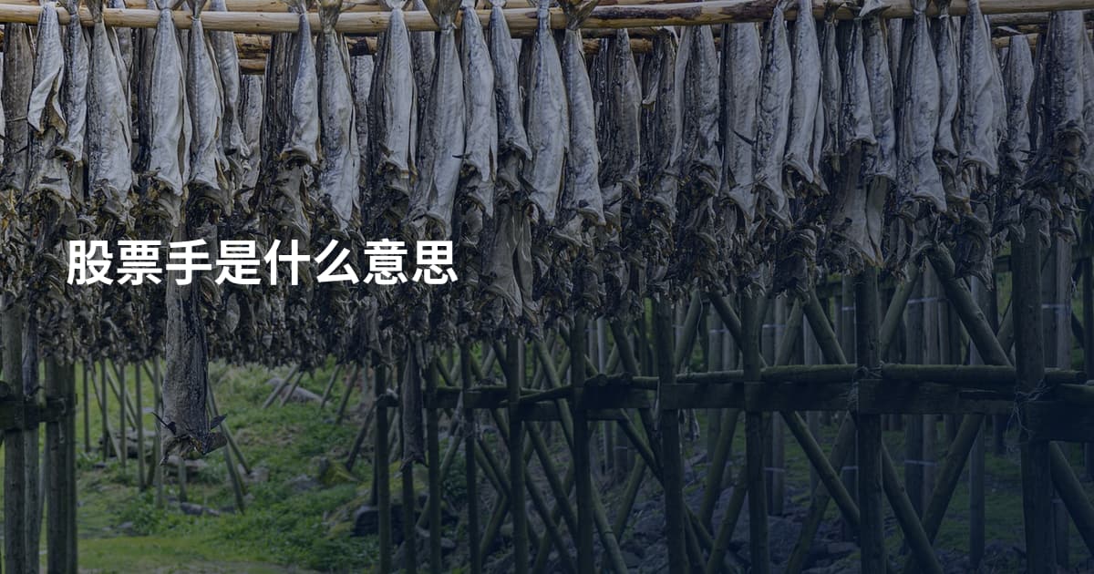 股票手是什么意思