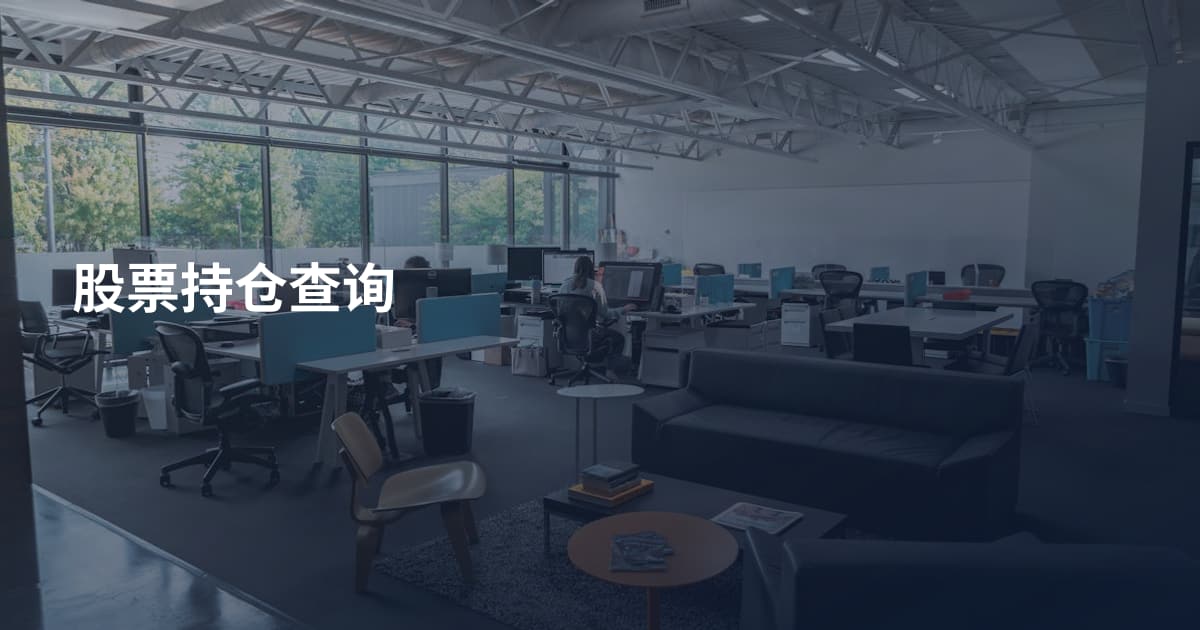 股票持仓查询