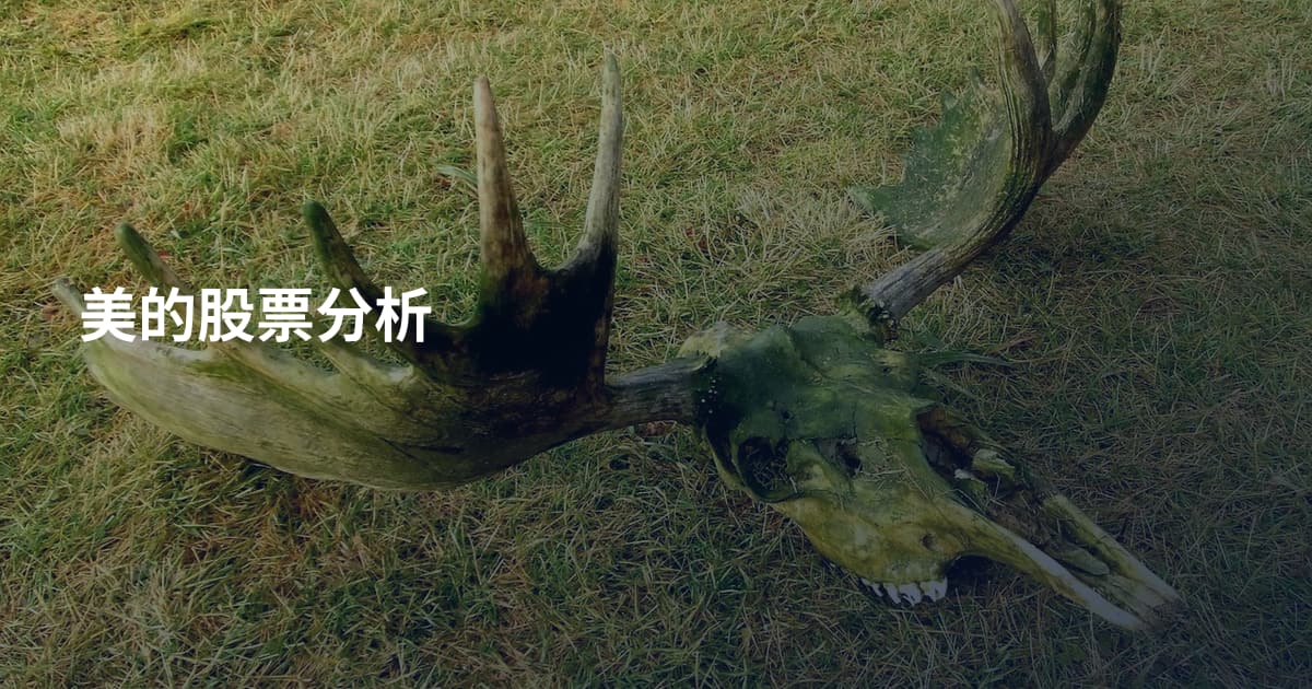 美的股票分析