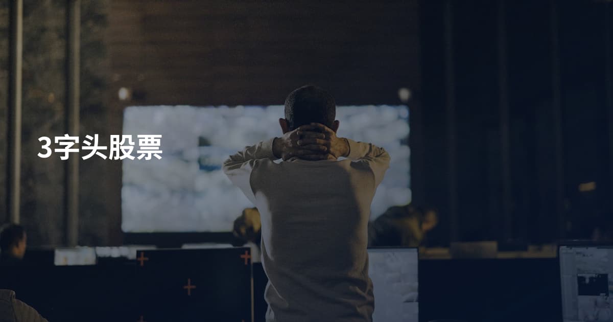 3字头股票