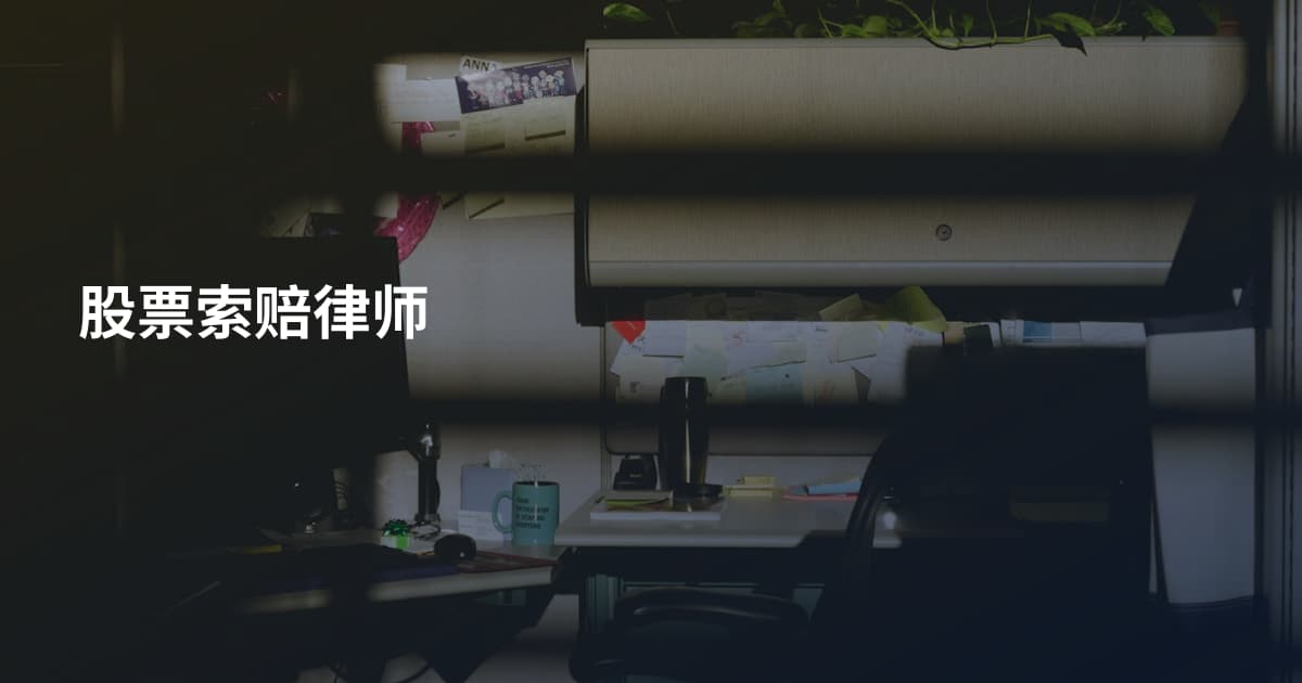 股票索赔律师