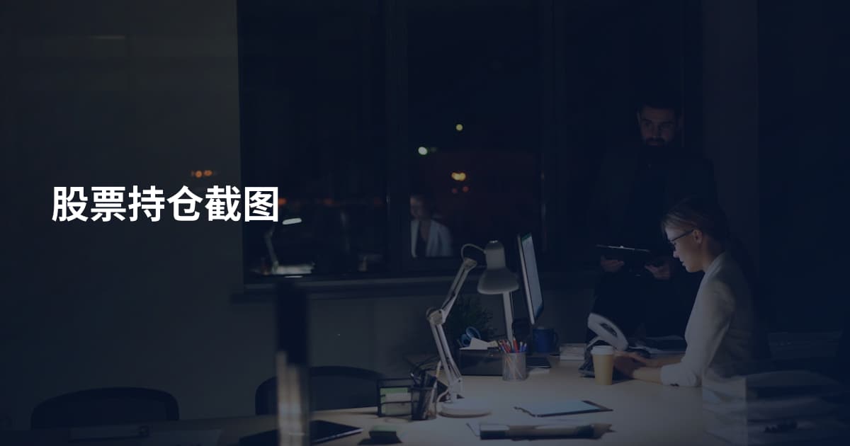 股票持仓截图