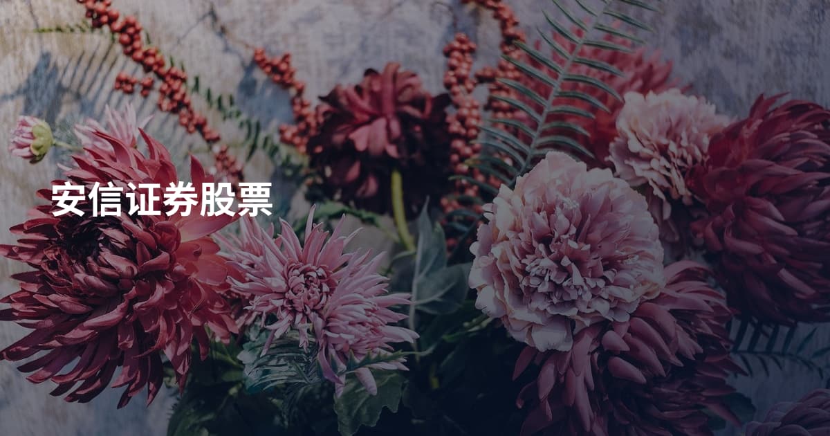 安信证券股票