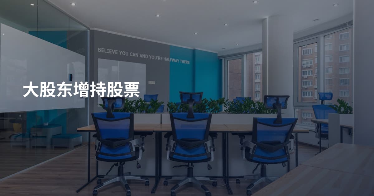 大股东增持股票