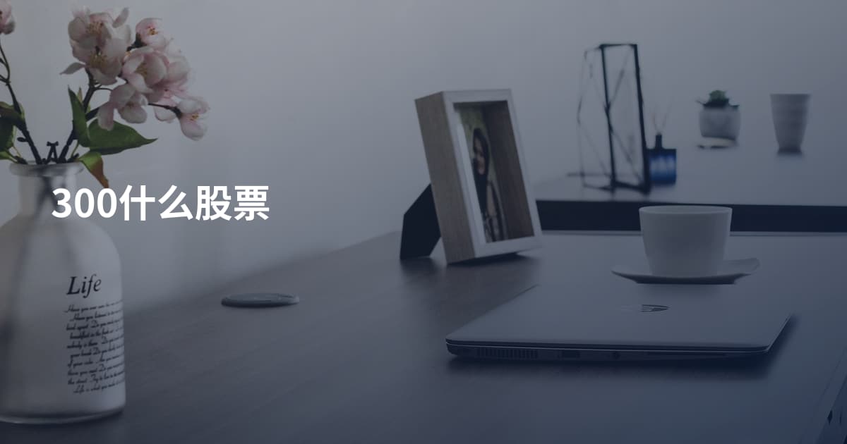 300什么股票