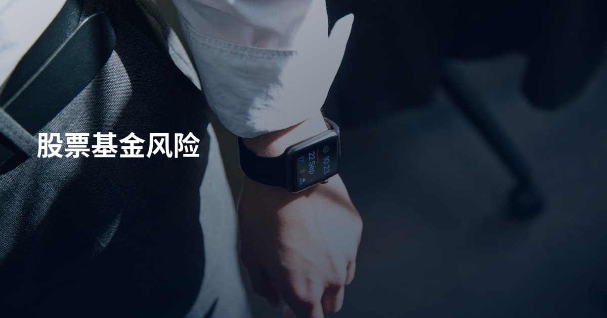 股票基金风险