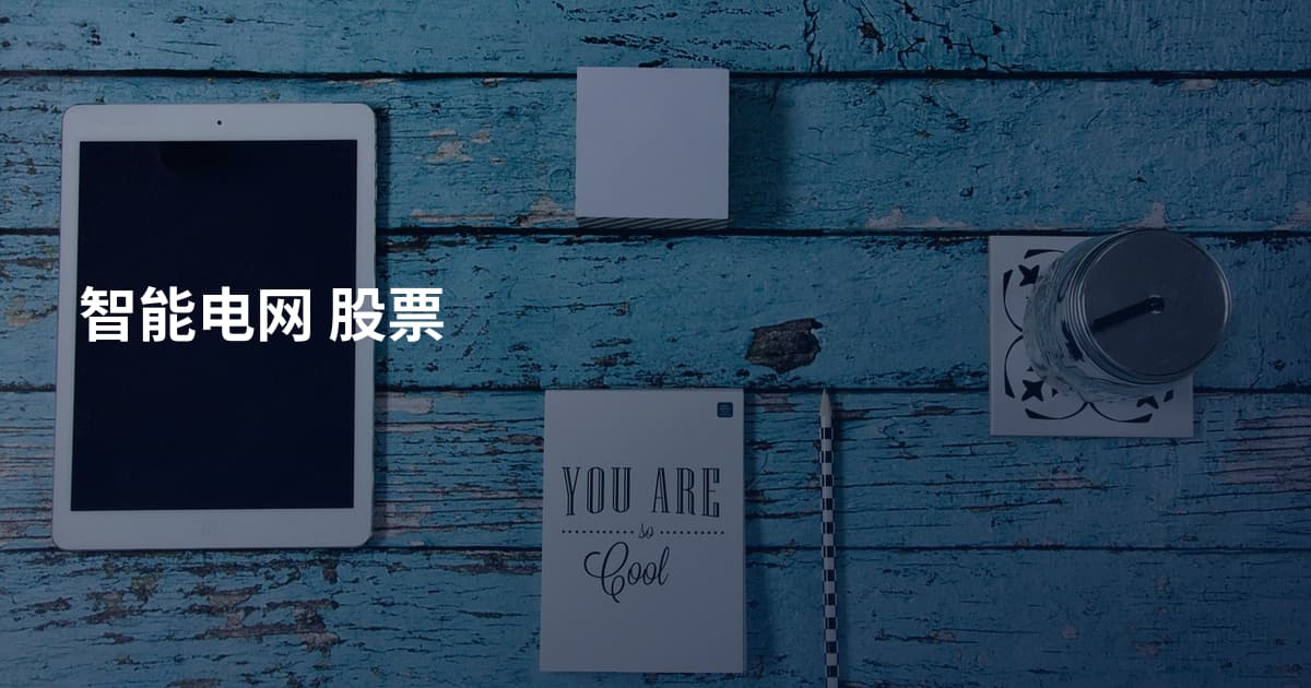 智能电网 股票