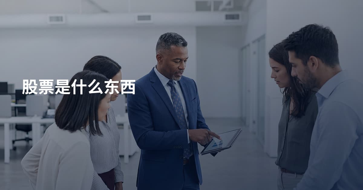 股票是什么东西