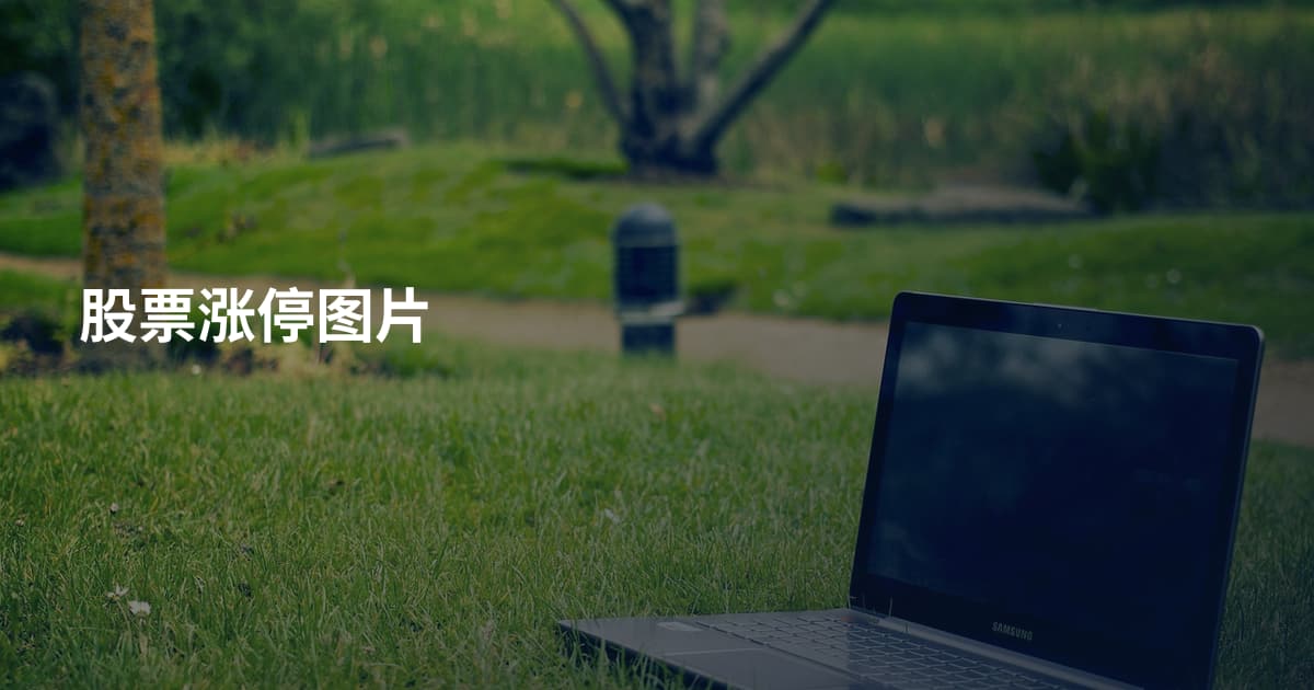 股票涨停图片