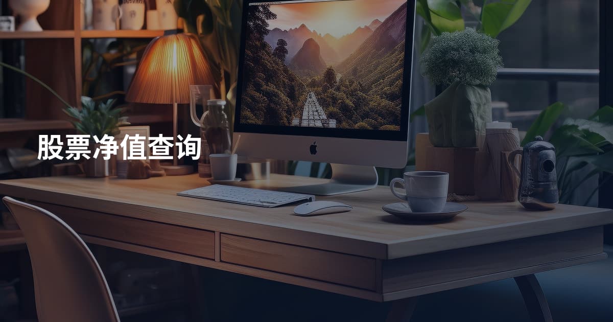 股票净值查询