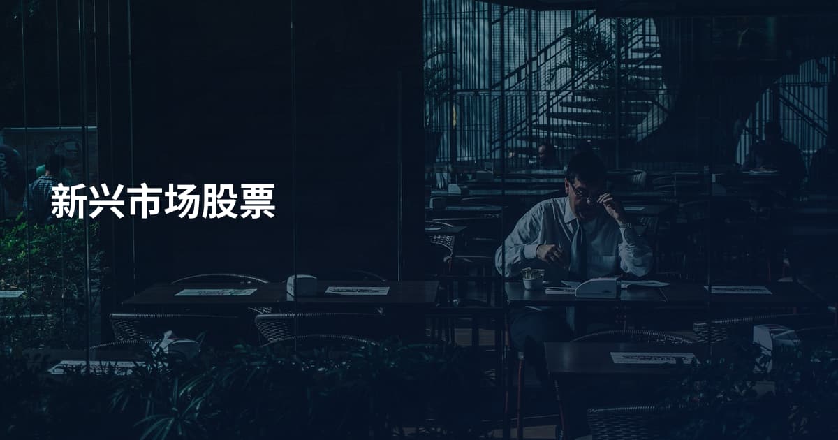 新兴市场股票