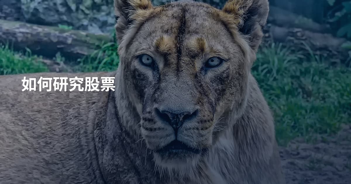 如何研究股票