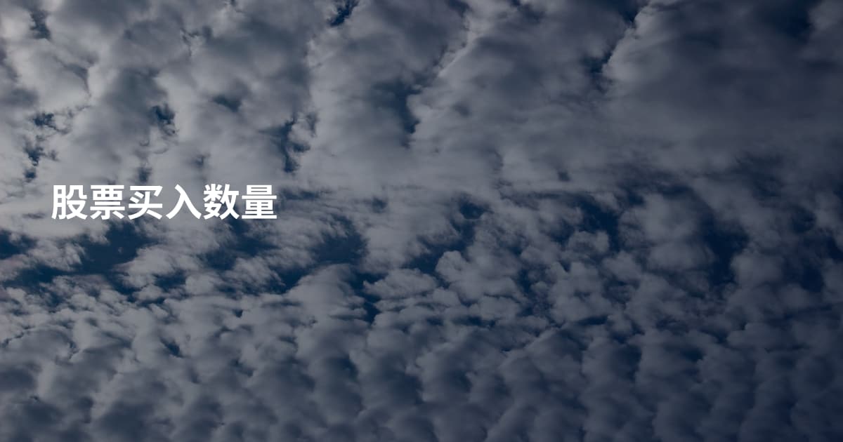 股票买入数量