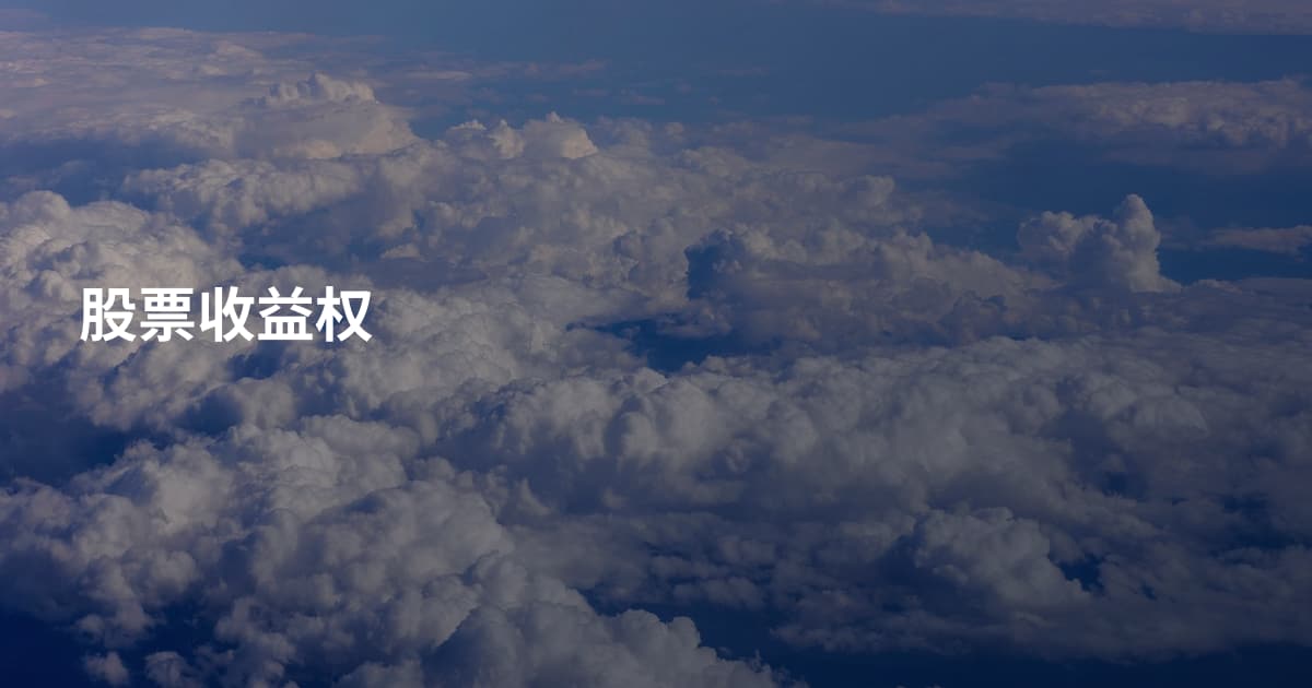 股票收益权