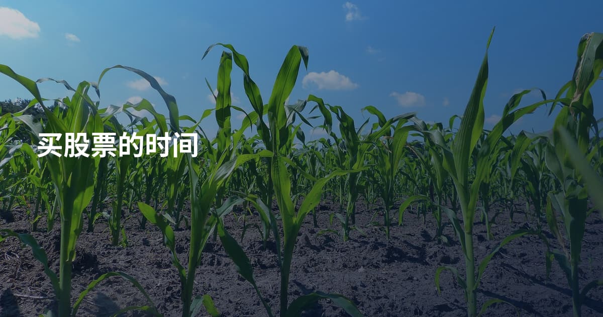 买股票的时间