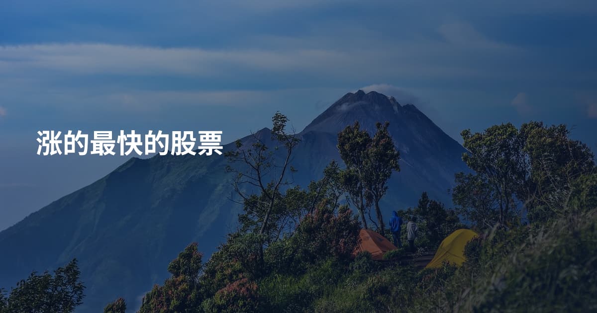 涨的最快的股票