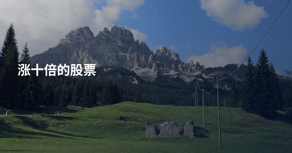 涨十倍的股票