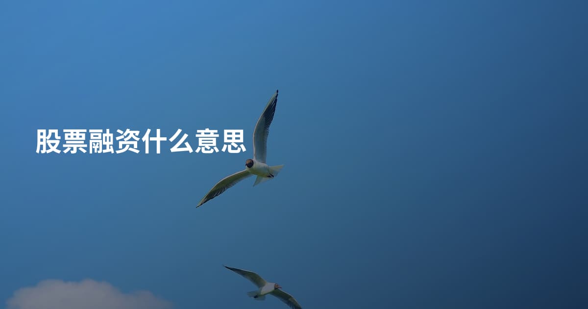 股票融资什么意思