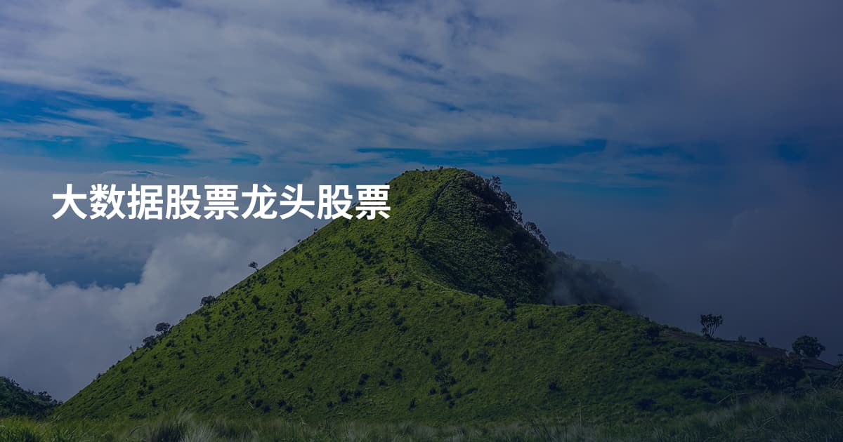 大数据股票龙头股票
