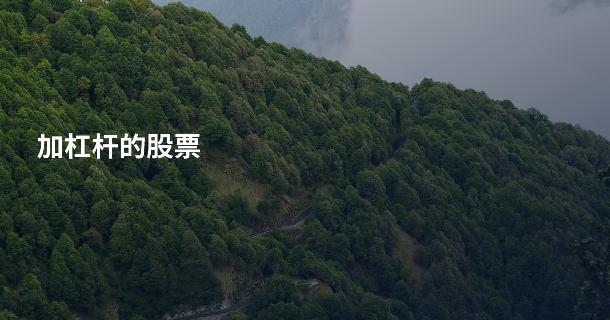 加杠杆的股票