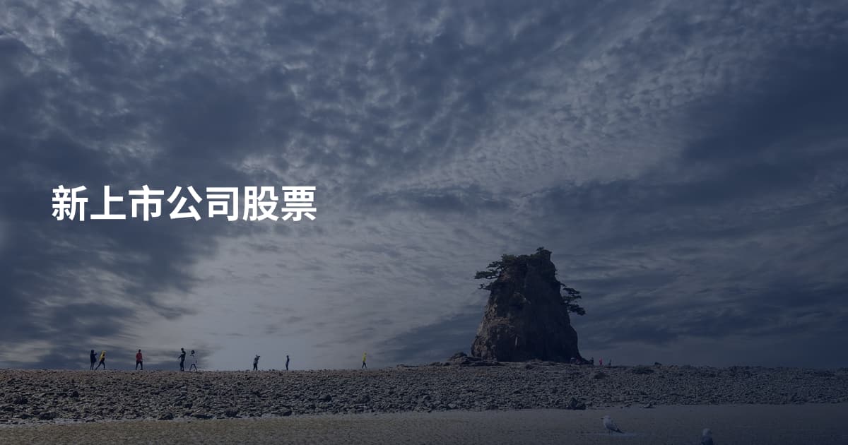 新上市公司股票