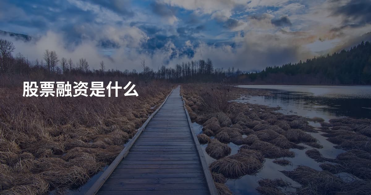 股票融资是什么