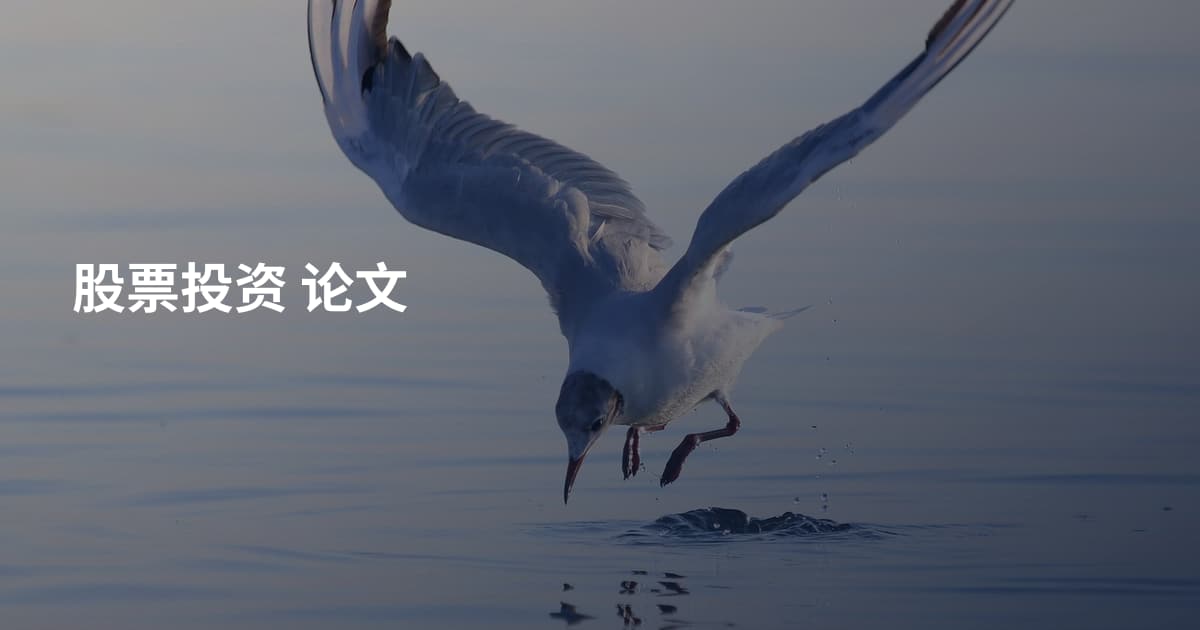 股票投资 论文