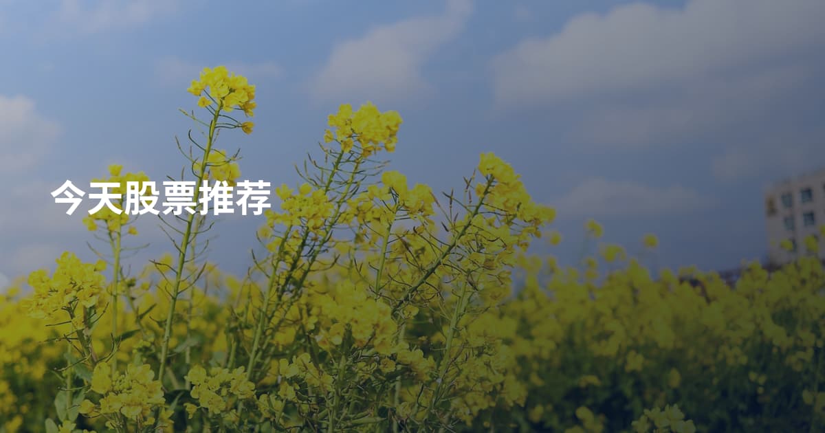 今天股票推荐