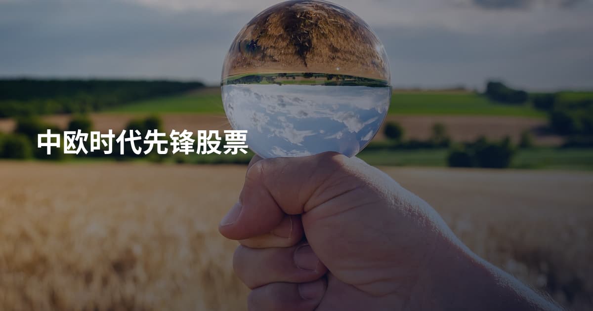 中欧时代先锋股票