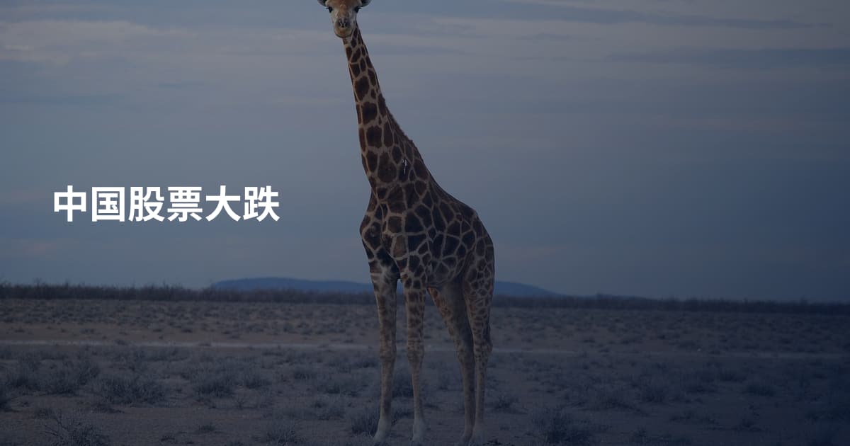 中国股票大跌