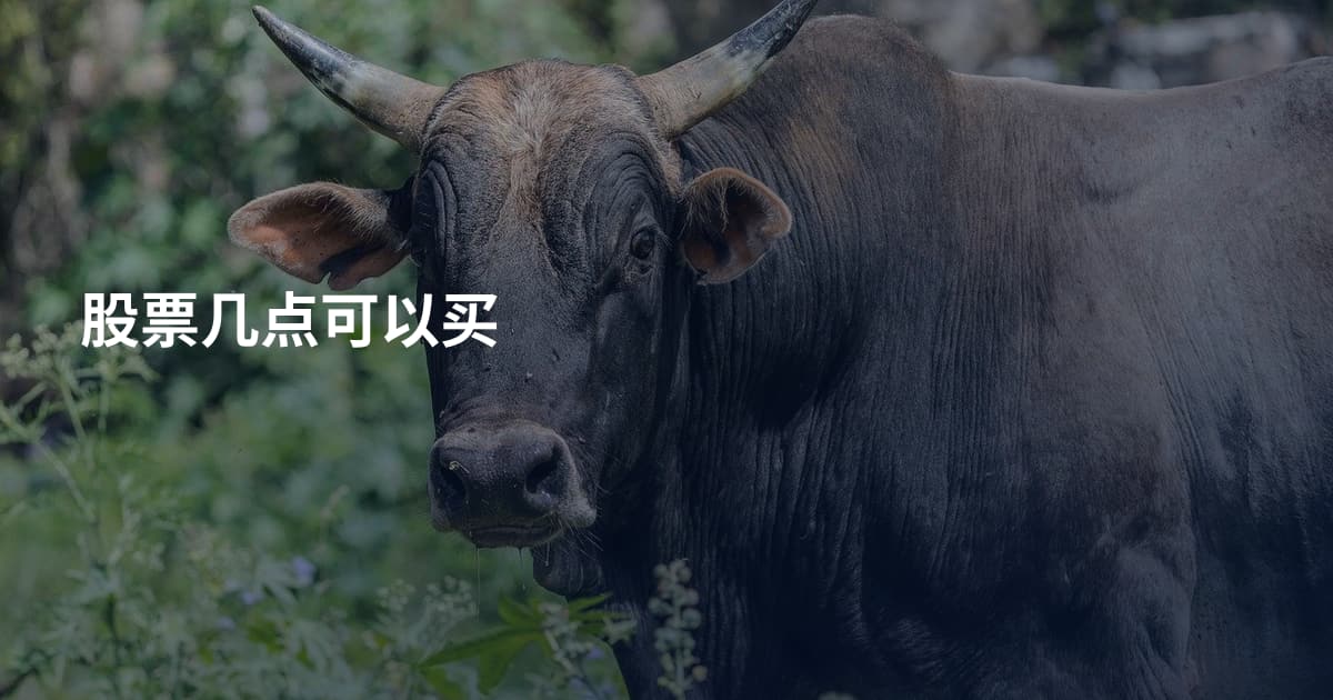 股票几点可以买
