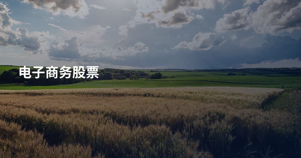 电子商务股票