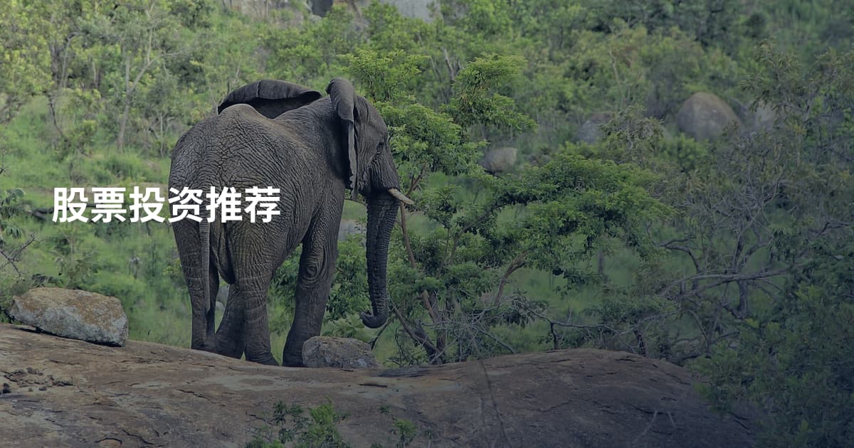 股票投资推荐