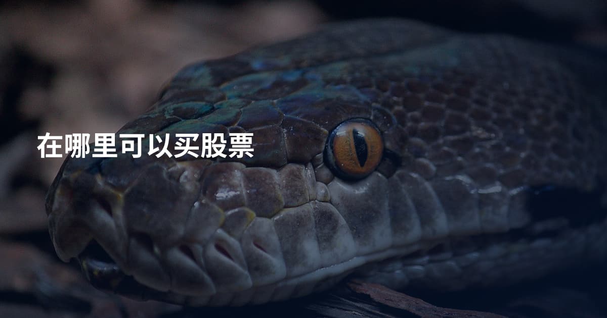 在哪里可以买股票