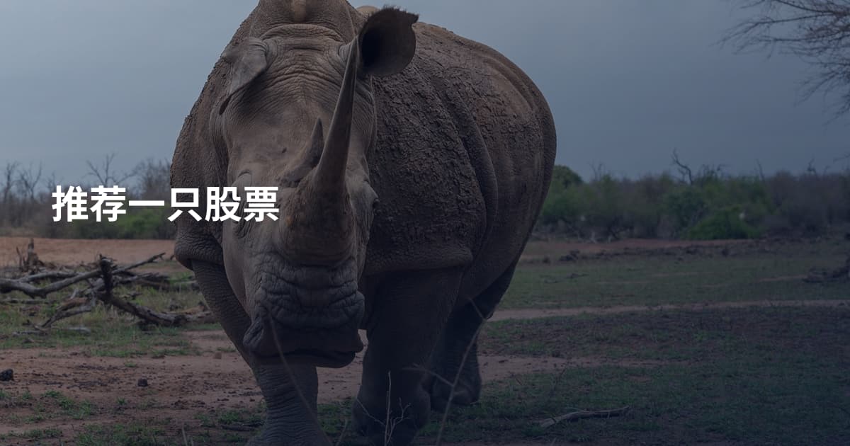 推荐一只股票
