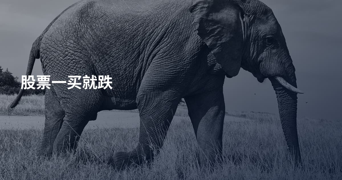 股票一买就跌