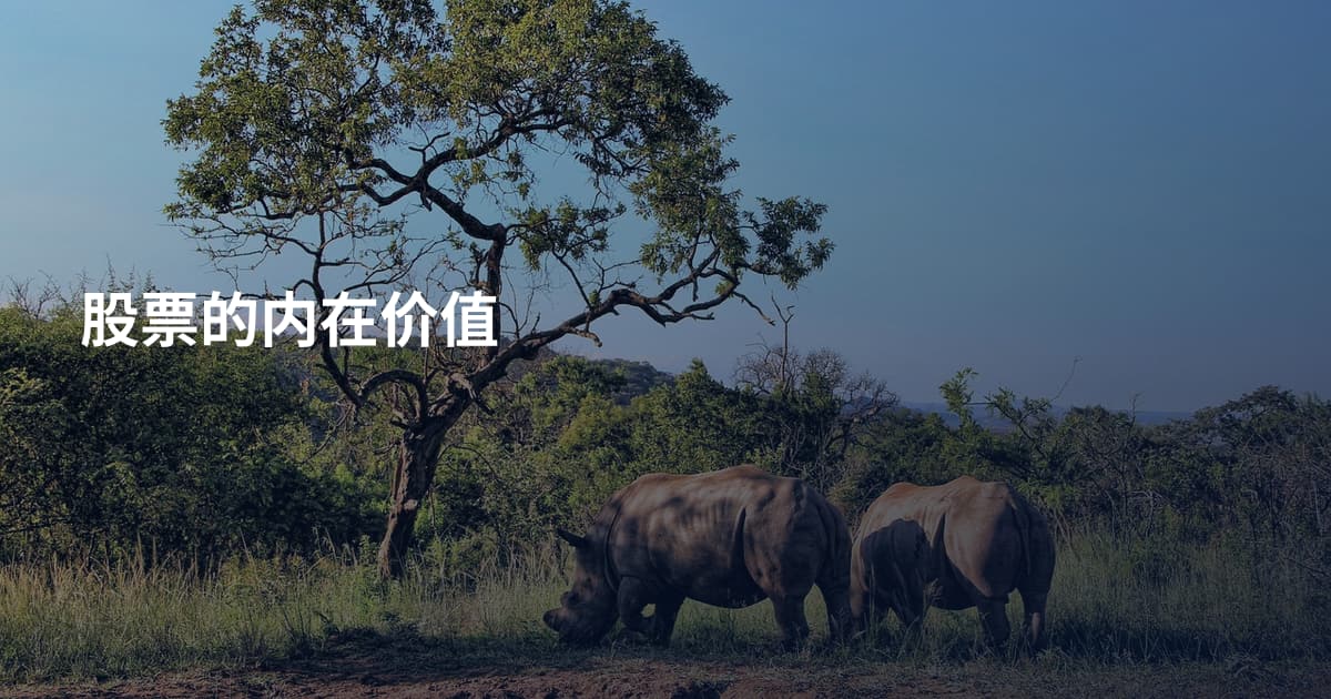 股票的内在价值