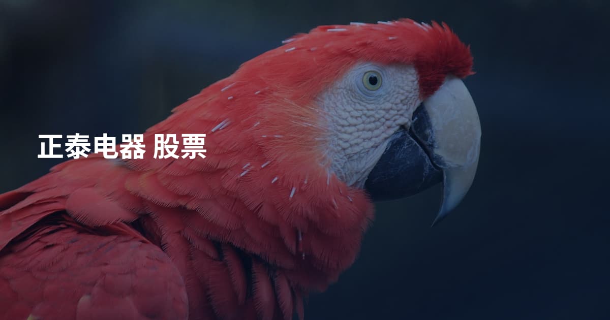 正泰电器 股票