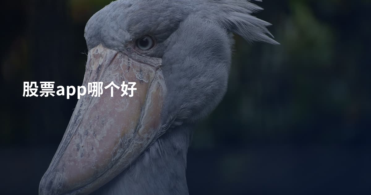 股票app哪个好
