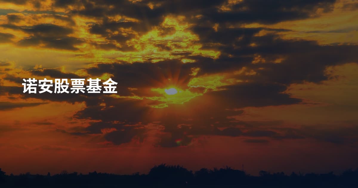 诺安股票基金