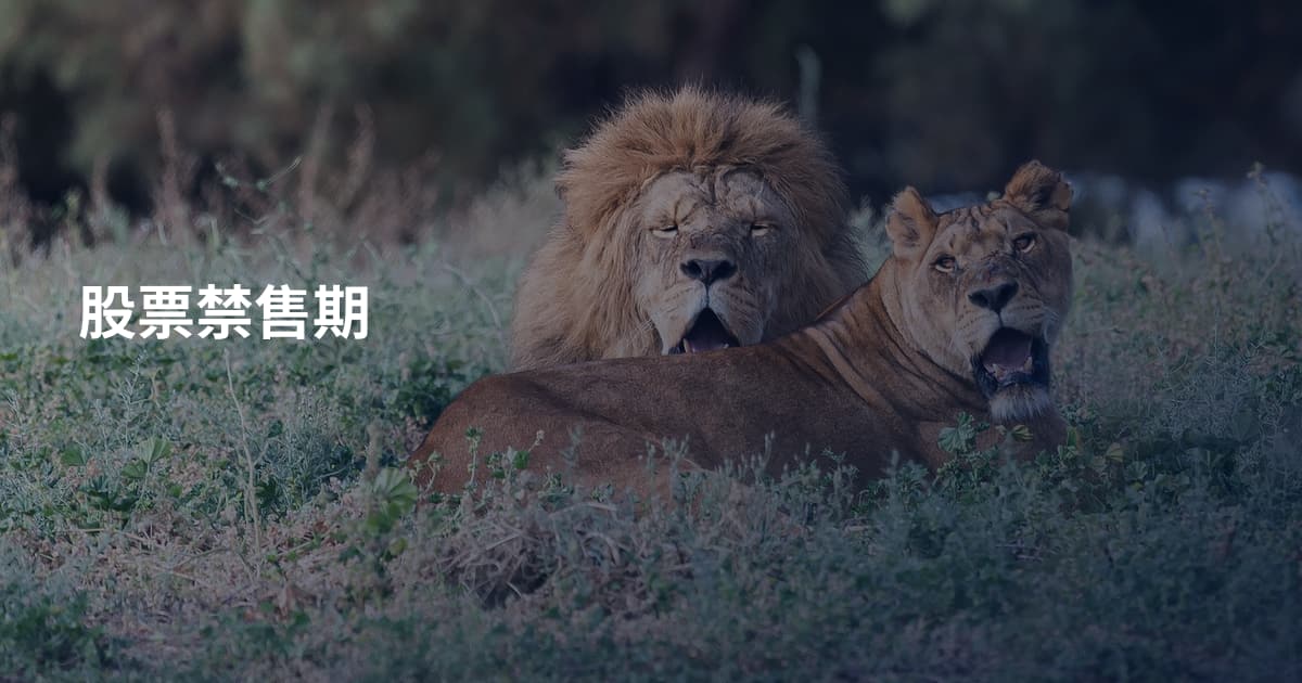 股票禁售期