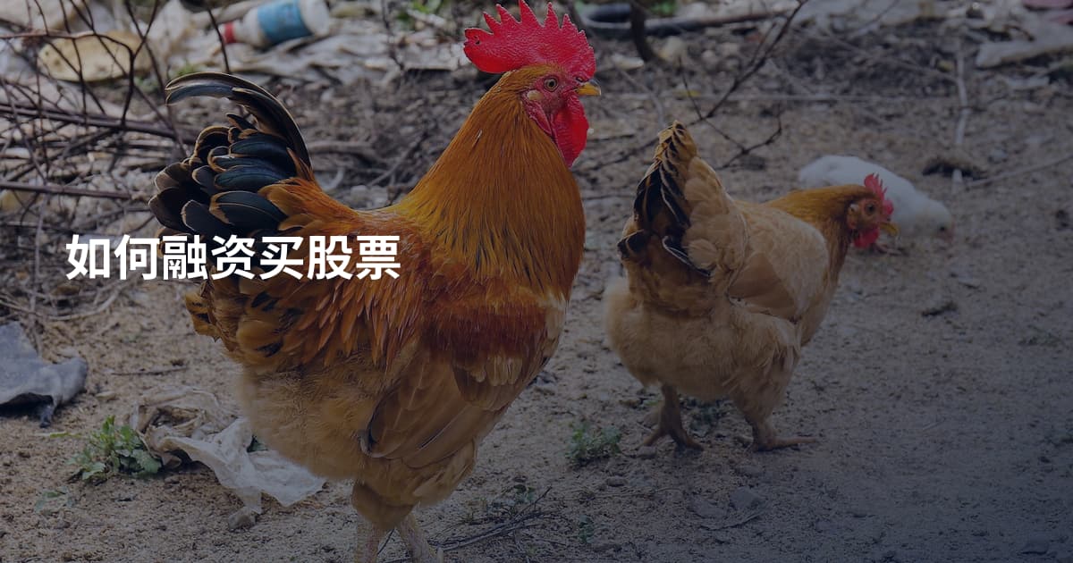 如何融资买股票