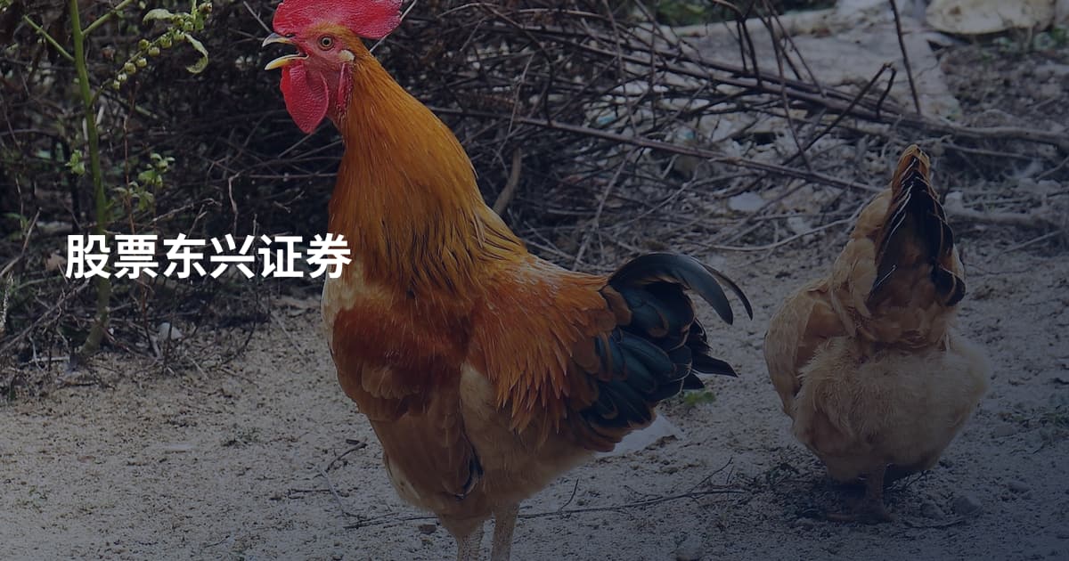 股票东兴证券